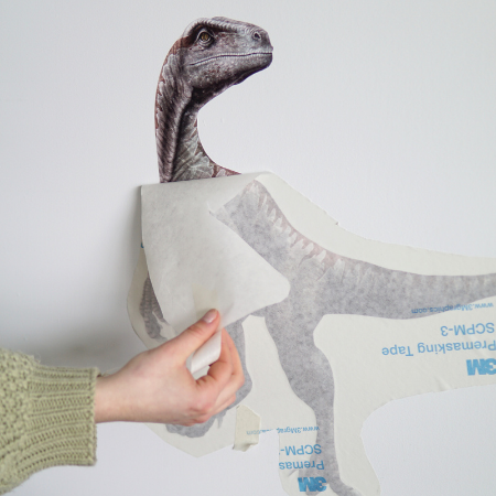 Removal of the transfer paper.